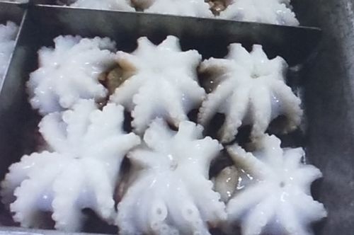 Whole Frozen Octopus