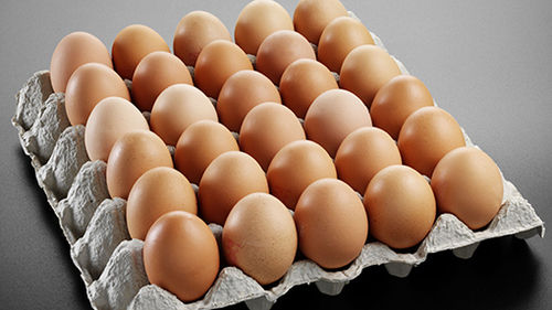 Farm Brown Poultry Egg Egg Origin: Chicken