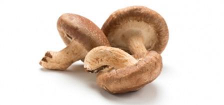 Brown Fine Fresh Button Mushroom