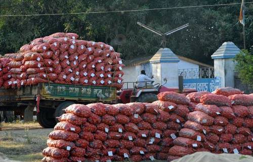 Oval Fresh And Natural Potato