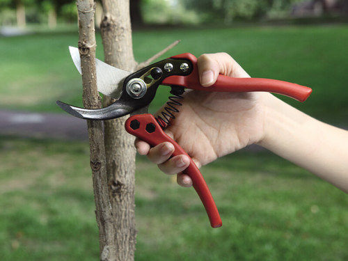 Pruning Tools Professional Garden Hand Pruner (3169-1)