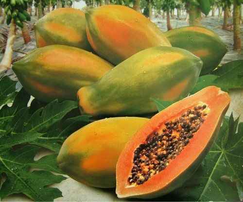 Natural Tasty Fresh Papaya