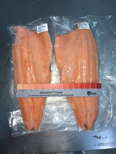  अटलांटिक मैकेरल सैल्मन फिश फिलेट 