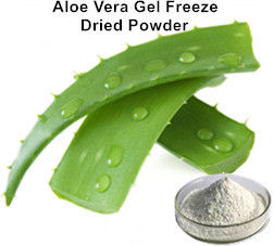 Dried Aloe Vera Powder