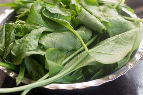 Fresh High Protein Spinach Leaves Shelf Life: 2-3 Days