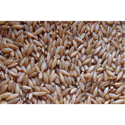 Common Soft Texture Bamboo Rice