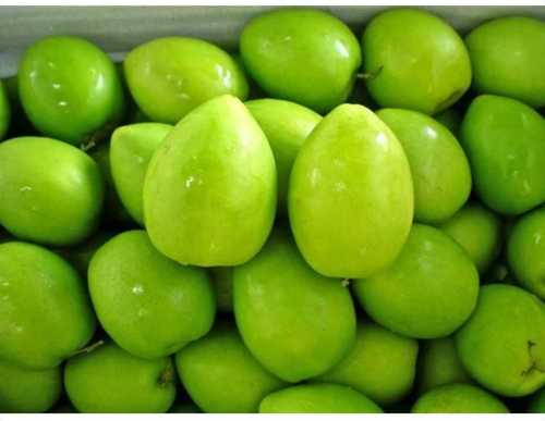 Green Fresh And Sweet Apple Ber