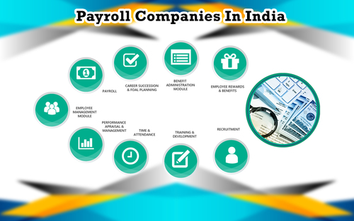 Payroll Management Services By Scrutiny Software Solutions Pvt. Ltd.