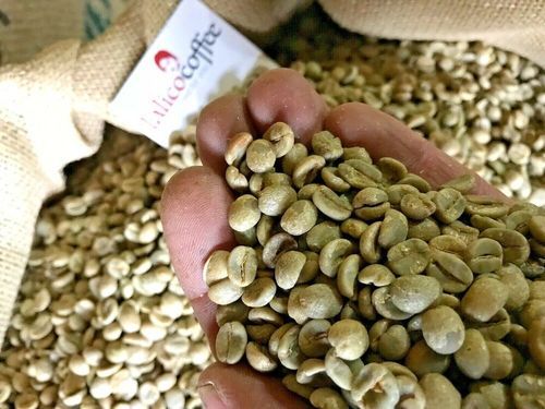 Arabica and Robusta Coffee Beans