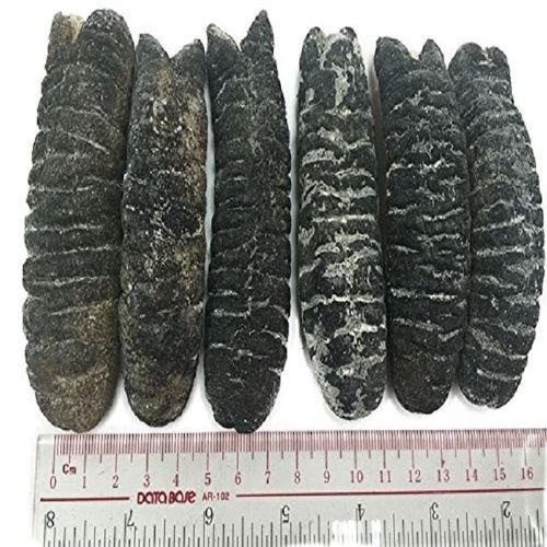 Sea Food Dried Cucumber