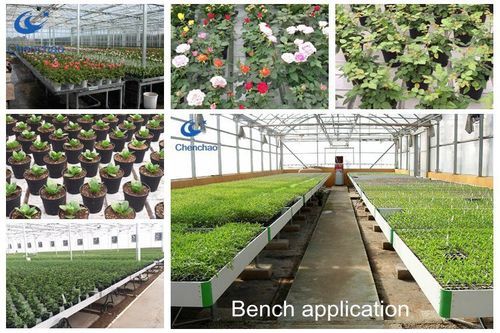 Greenhouse Seedbed Rolling Bench