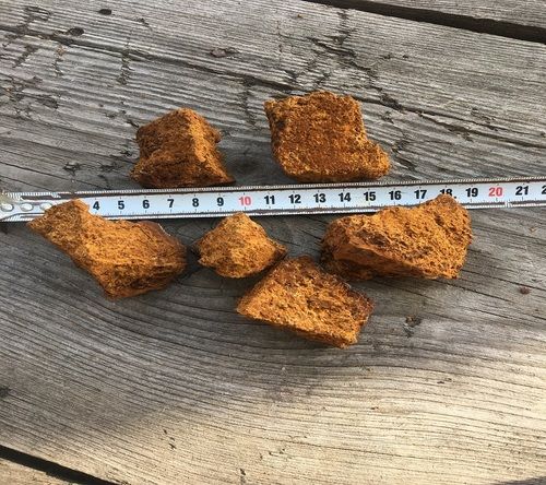 Brown Organic Mushroom Chaga Chunks