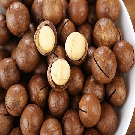 Brown High Nutritional Value Macadamia Nuts