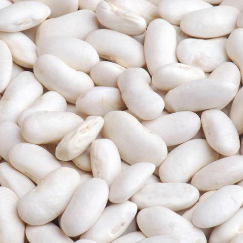 Long Shape White Kidney Beans Size: 550-600 Pcs/100G