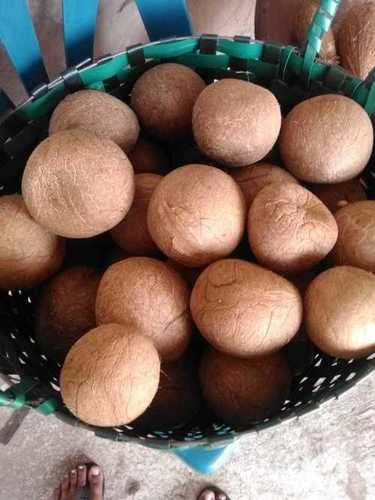 Natural Dried Coconut Copra