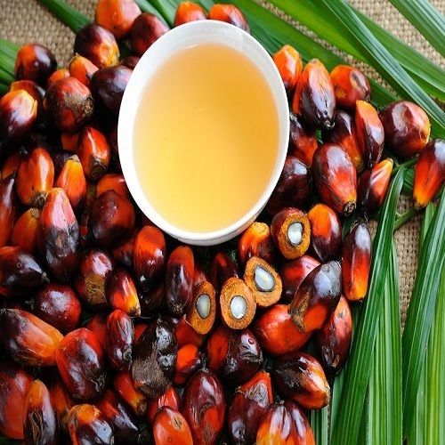 Common Palm Olein Cooking Oil