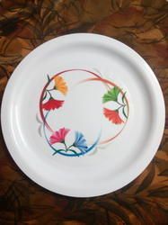 White Plastic Dinner Plates Application: Home