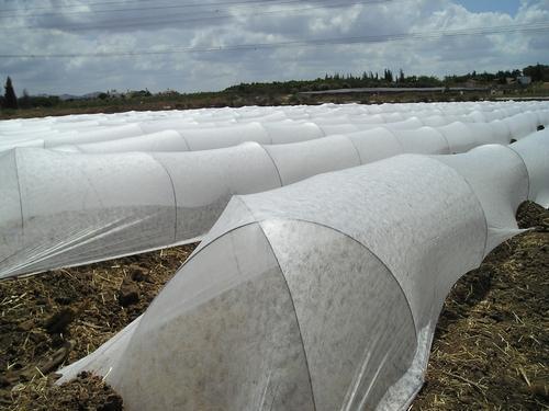 White Crop Cover For Agriculture