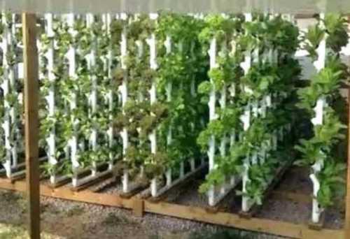 Hydroponic System In Bengaluru, Karnataka At Best Price  Hydroponic System  Manufacturers, Suppliers In Bangalore