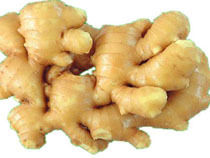 Rich In Nutritional Contents Garden Fresh Ginger 