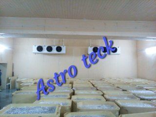 Egg Cold Room For Meat And Poultry Industry Capacity: 2 Ton Ton/Day