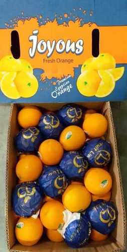 Farm Fresh Egypt Oranges