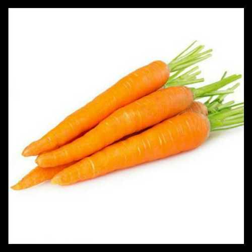 Orange Farm Fresh Carrot
