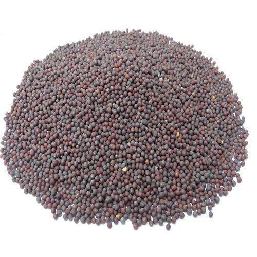 Dried Mustard Round Seed