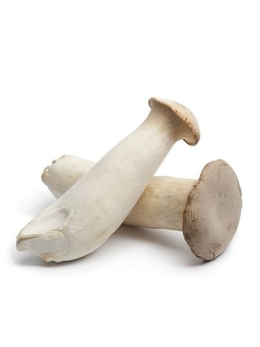 White Fresh And Dried Oyster Mushroom