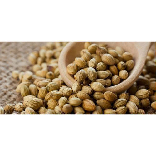 High Grade Coriander Seeds