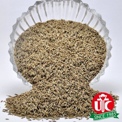 Pure And Natural Cumin Seeds