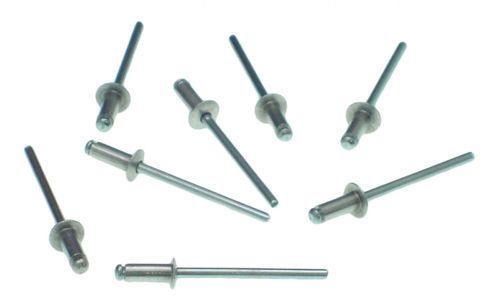 Refurbished Stainless Steel Rivets