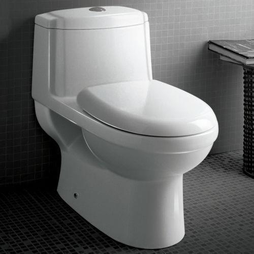 Modern Look Water Closet