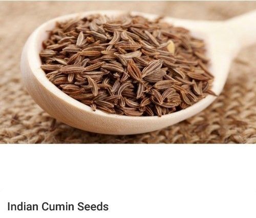 cumin seed