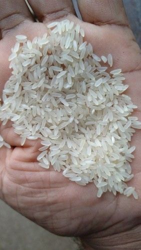 Small Grain White Rice