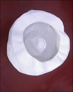 Polypropelene Easy Washable Centrifuge Bag