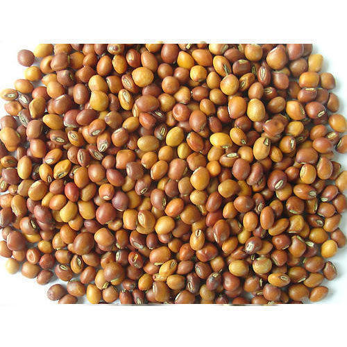 Fresh Organic Pigeon Pea