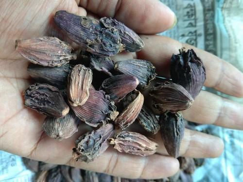 Natural Taste Black Cardamom Grade: A