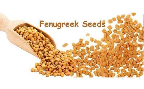 Premium Organic Fenugreek Seeds