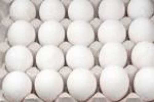 Rich in Protein Poultry Eggs 