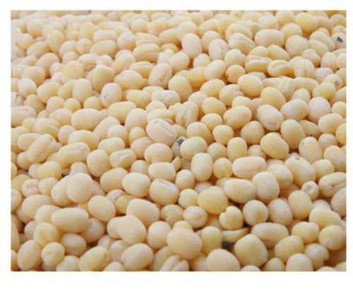 Urad Dal