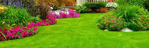 Garden Development And Maintenance Service