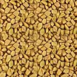 Yellow High Grade Fenugreek Seed