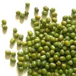 Natural Green Mung Bean