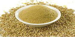 Light Yellow Impurities Free Coriander Powder