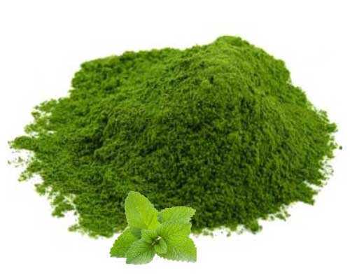 Green Mint Leaf Powder