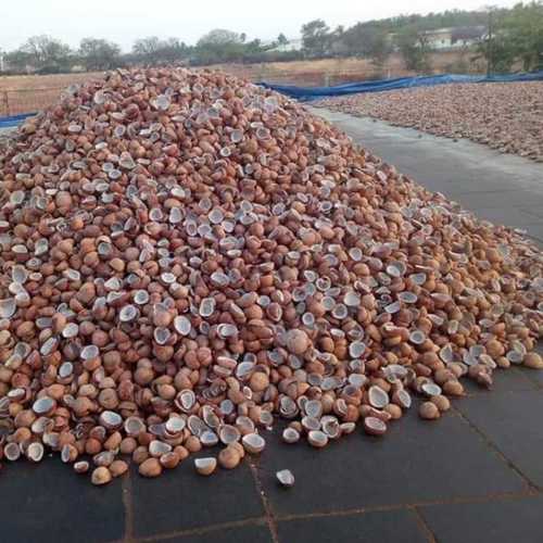 Common Natural Dried Coconut Copra