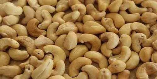 Organic Raw Cashew Nut