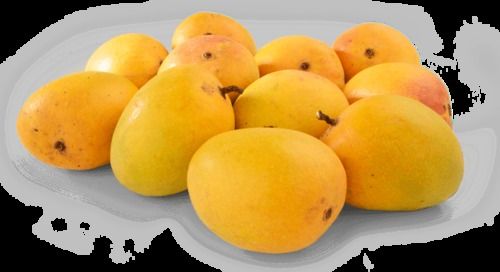 Yellow Delicious And Tasty Fresh Mangoes