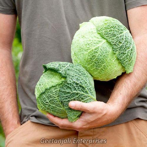 Round Fresh Savoy Cabbage